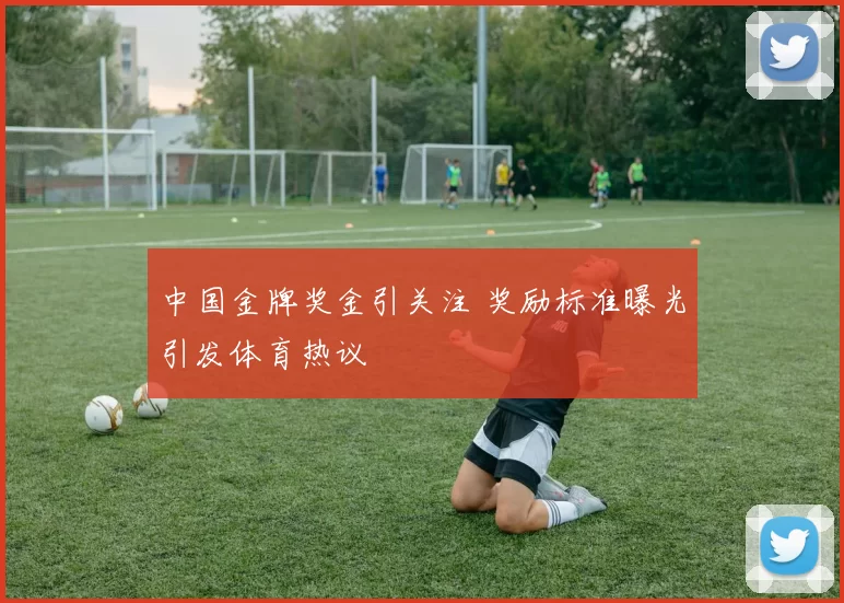 中国金牌奖金引关注 奖励标准曝光引发体育热议