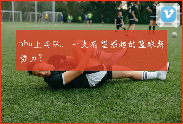 nba上海队：一支有望崛起的篮球新势力？