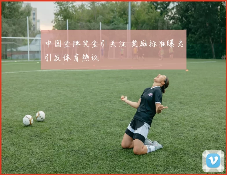 中国金牌奖金引关注 奖励标准曝光引发体育热议