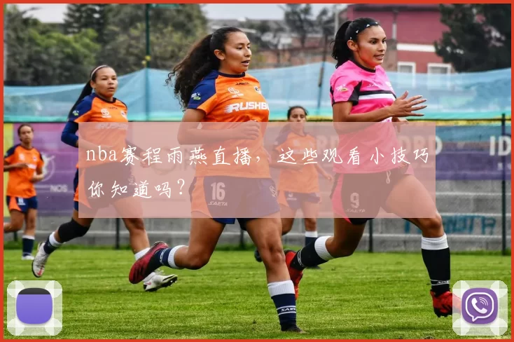 nba赛程雨燕直播，这些观看小技巧你知道吗？
