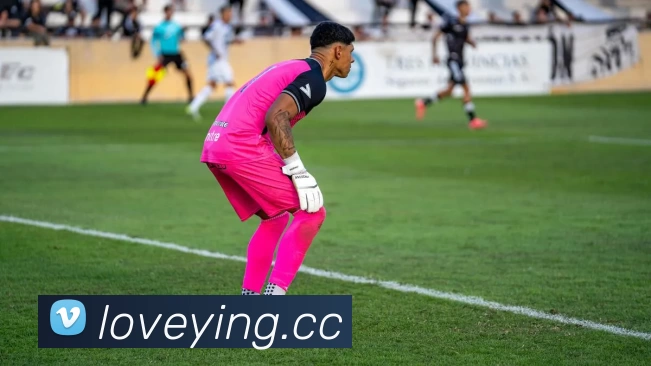 华体网页版登录APP 高清赛事图